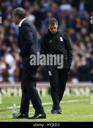 Birmingham City manager Gianfranco ZOLA sul perimetro Foto Stock