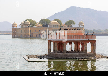 Jal Mahal der Wasserpalast, Jaipur, Rajasthan, Indien Foto Stock