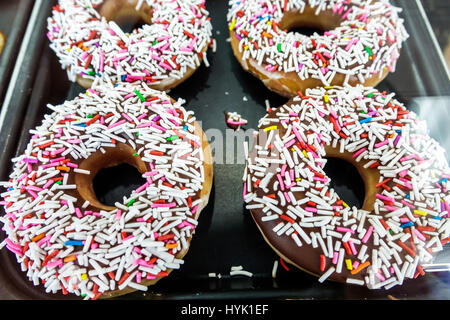 Orlando Winter Park Florida,Krispy Kreme Donuts,azienda ciambella,coffeehouse,spaschies,glassa al cioccolato,glassa,espositore vendita prodotto,visitors Travel Bou Foto Stock