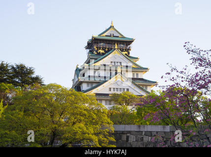 Osaka, Giappone - castello Giapponese con splendidi fiori di ciliegio nella stagione primaverile. Foto Stock