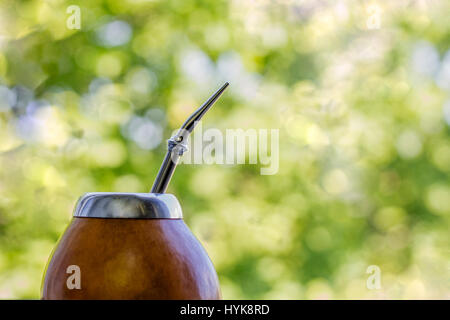 Yerba mate in zucca matero Foto Stock