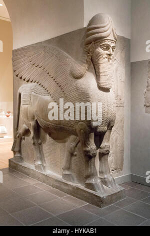 In pietra scolpita umana con testa di toro alato, Palazzo assiro, Nimrud, Iraq, ora nel Metropolitan Museum of Art di New York Foto Stock