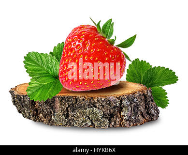 Fragola su un ceppo di albero isolato su sfondo bianco Foto Stock