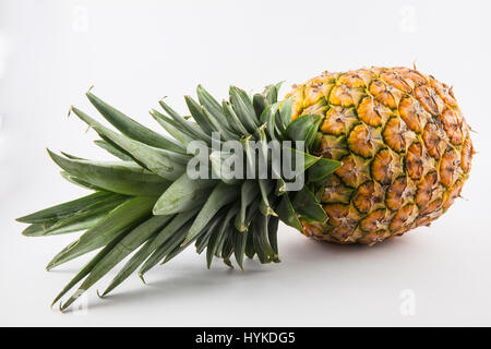 Ananas (Ananas comosus) su sfondo bianco Foto Stock