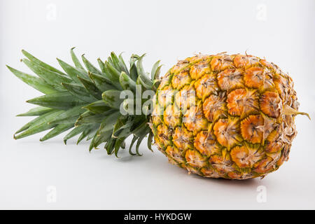 Ananas (Ananas comosus) su sfondo bianco Foto Stock