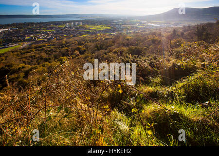 Carnmoney Hill, Newtownabbey, County Antrim, Irlanda del Nord Foto Stock