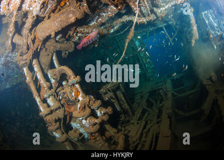 Foto sorprendenti hanno rivelato il tesoro di diversi milioni di dollari americani attrezzature militari che giace sul fondo dell'Oceano Pacifico. Le immagini che mostrano i turisti ad esplorare le rovine, evidenziare la misura dei rifiuti dopo aver provocato il US Navy oggetto di dumping le loro attrezzature nell'oceano dopo la fine della Seconda Guerra Mondiale in un luogo che è diventato il ben noto come "Million Dollar Point". Gli americani erano state utilizzando Espiritu Santo in paradiso l'isola di Vanuatu come base per lanciare i loro attacchi contro i giapponesi nel Pacifico e dopo non essere riuscito a giungere ad un accordo per la vendita di apparecchiature a Foto Stock