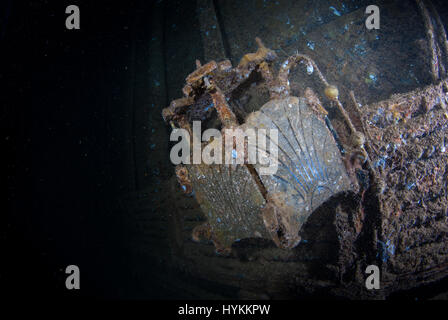 Spettacolari immagini subacquee hanno rivelato il 600-piedi lungo rimane di un lusso americana ocean liner-girato noi troopship che fu affondato da mine in WW2. La scatti sorprendenti mostrano la vasta 13.000 ton relitto della SS President Coolidge al fondo del Pacifico, ma gli intrepidi subacquei superò i pericoli del mare profondo immersioni relitto da avventurarsi all'interno della carcassa. Alcuni degli interni di lusso è ancora visibile sotto enormi strati di limo mentre i grandi serbatoi sono stati estratti dai rottami come ben come normali oggetti di uso quotidiano, comprese le bottiglie e i vasetti lasciata intatta dal momento che affondò off Espiritu Santo Foto Stock