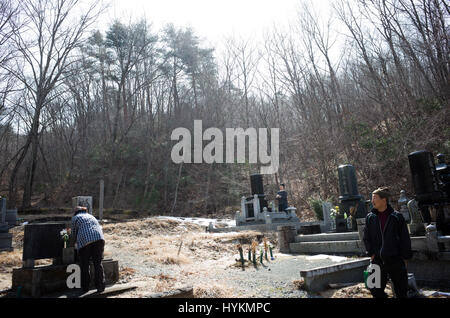 OTAMA VILLAGE, FUKUSHIMA: Toshinori e Keiko in un cimitero. Una famiglia di cinque anni di lotta per superare il disastro Fukushima vivendo nella zona di radiazione sono stati documentati in un toccante foto-relazione. La famiglia Sanpei di Otama Village, ad appena 40 miglia dall'Fukushima disastro nucleare, hanno combattuto per mantenere la loro azienda casearia conservato e difendere il loro modo di vita contro fughe radioattive. Le immagini, le ultime delle quali sono state prese solo questo mese, eventualmente mostrano Toshinori e Keiko ancora una volta in piedi di fronte ad un aspetto sano mandria. Il "pioggia nera" foto-progetto è stato creato da a Foto Stock