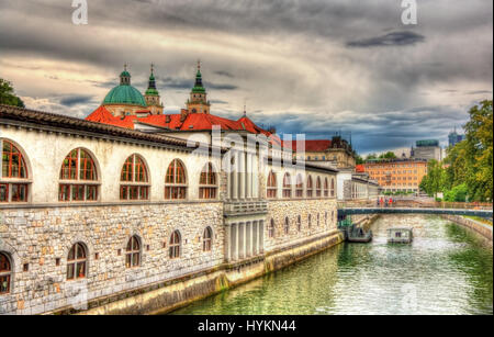 Argine a Lubiana - Slovenia Foto Stock