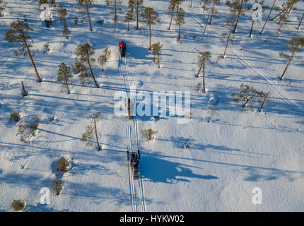 Motoslitte, Lapponia, Svezia. Drone fotografia Foto Stock