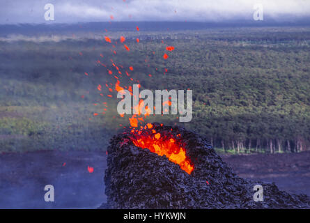 Esclusiva di Big Island delle Hawaii,: cono spruzzi esplode vicino alla Pu'u'O'o sfiato. Vulcano-ricercatori prelevare campioni per aiutare a prevenire le Hawaii città di essere inghiottito dalla lava. Se pensi che il tuo lavoro è stato difficile un pensiero di ricambio per questi vulcano-ossessionati ricercatori che deve afferrare campioni di roccia fusa - che fino a 1.200 gradi centigradi può essere abbastanza caldo per girare un umano non protetti alla polvere se sono sfortunato abbastanza da essere colpito da esso. Come scegliere tra tutto ciò che rimane della città di Kalapana - 180 case di ingestione da parte del vicino vulcano Kilauea, gli scienziati devono indossare abiti simili a quelli w Foto Stock