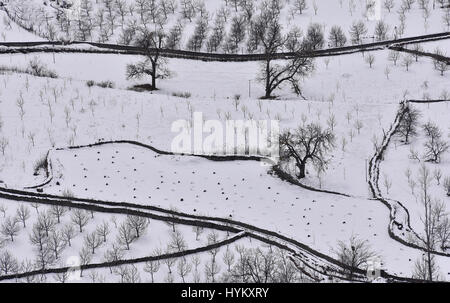 Valle di Sangla Hill, Kinnaur, Himachal Pradesh, India Foto Stock