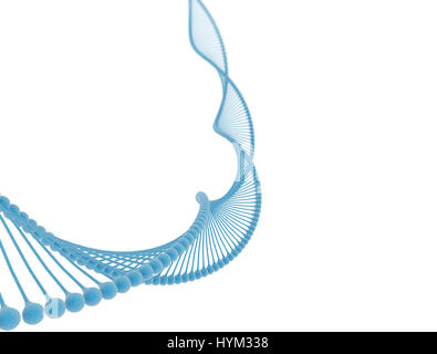 Stringa di DNA isolato su sfondo bianco Foto Stock