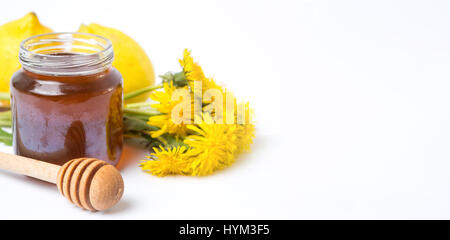 Miele di tarassaco in un vaso e fiori freschi su bianco Foto Stock