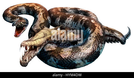 Titanoboa Foto Stock