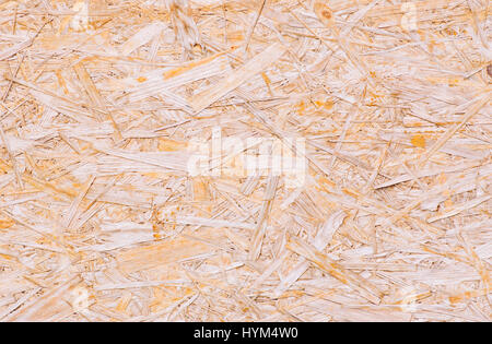 Macro shot di legno truciolare. Sfondo dalla segatura pressata Foto Stock
