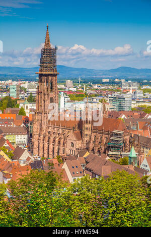Città storica di Freiburg im Breisgau con il famoso Freiburg Minster cattedrale in bella luce mattutina, membro del Baden-Wurttemberg, Germania sud-occidentale Foto Stock