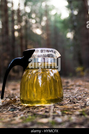 Bollitore con tè su un picnic in foresta Foto Stock