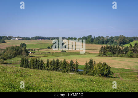 Paesaggio rurale in Kartuzy County, Kashubia regione del voivodato di Pomerania in Polonia Foto Stock