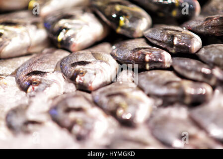 Frutti di mare su ghiaccio al mercato del pesce Foto Stock