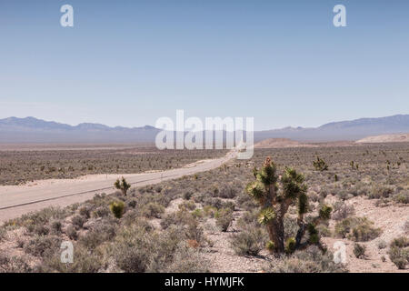 Alberi di Joshua accanto all'autostrada 375, l'autostrada extraterrestre, Nevada. Sulla sinistra è la gamma della montagna che separa la strada pubblica da s Foto Stock