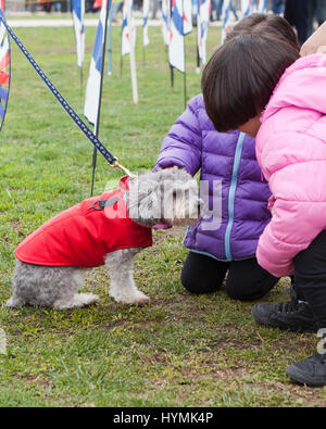 I bambini più piccoli come accarezzare un cane - USA Foto Stock