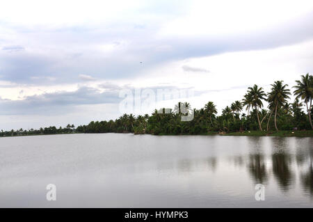 Kerala riflessione di cocco albero in backwaters. Ingredienti che attraggono i turisti da tutto il mondo. (Foto Copyright © di Saji Maramon) Foto Stock