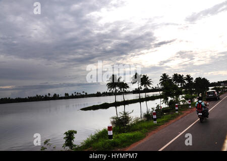 Kerala riflessione di cocco albero in backwaters. Ingredienti che attraggono i turisti da tutto il mondo. (Foto Copyright © di Saji Maramon) Foto Stock