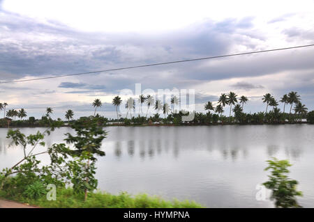 Kerala riflessione di cocco albero in backwaters. Ingredienti che attraggono i turisti da tutto il mondo. (Foto Copyright © di Saji Maramon) Foto Stock