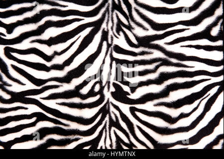 Bianco e nero zebra pattern con strisce e le curve Foto Stock