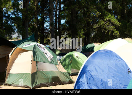 Campeggio con molti tende nella foresta di natura Foto Stock