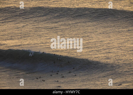 Un elevato angolo di visione di un surfista cattura un'onda durante un grande rigonfiamento a Pipeline sulla North Shore di Oahu. Foto Stock