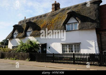 Cottage con il tetto di paglia all'angolo di Finkle Lane, Bassa Croce, Whittlesey, Cambridgeshire Foto Stock