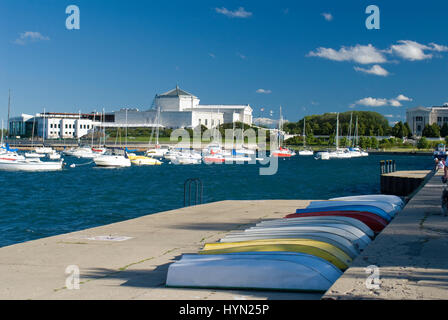 Shedd Aquarium e il lago Michigan, Chicago, Illinois Foto Stock