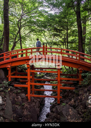 ,L'uomo cammina su red curvo ponte in legno nel tradizionale giardino Giapponese. Koishikawa Korakuen, Bunkyo-ku, Tokyo, Giappone Foto Stock