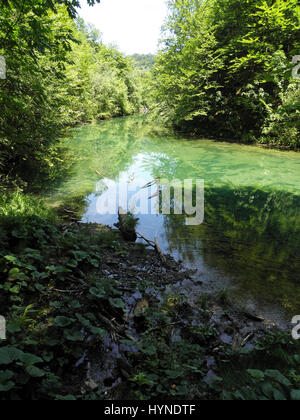 Canyon Kamacnik,i dettagli di natura,Gorski kotar,croazia,l'Europa,7 Foto Stock