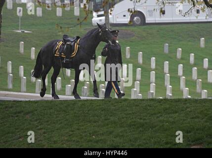 Arlington, Virginia, Stati Uniti d'America. 6 apr, 2017. La tradizione della lone riderless horse è camminato attraverso il Cimitero Nazionale di Arlington durante il servizio graveside per John Glenn Aprile 6, 2017 in Arlington, Virginia. Glenn, il primo astronauta americano in orbita la terra e più tardi un senato degli Stati Uniti, morì all'età di 95 l 8 dicembre 2016. Credito: Planetpix/Alamy Live News Foto Stock