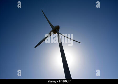 Turbina eolica dettaglio Foto Stock