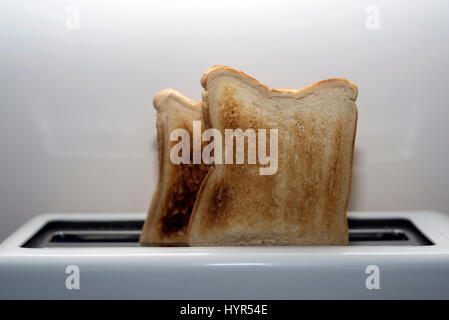 Cardiff Wales, Regno Unito. Il 23 febbraio 2017. Fresche, golden toast spuntano dal tostapane nella celebrazione nazionale della Giornata di Toast. Foto Stock