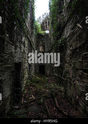 Castello di Buchanan, SCOZIA: EERIE fotografie ha rivelato un abbandonato castello scozzese che in precedenza era il WW2 ospedale militare che trattati Rudolf Hess top nazista e penman di Hitler's Diary Mein Kampf.Le immagini mostrano il muschio, edera, anche gli alberi hanno iniziato a crescere all'interno dell'ex castello con i senza tetto. L'isolamento di legno è stata lasciata esposta e marciume di edera e vitigni prendendo radice su di essi. Da una distanza, è in grado di rendere le torri che mancano le torrette e sono caduto in rovina. Queste splendide ma aggira le immagini sono state prese a Buchanan Castle in Aberdeen, Scozia da un ur Foto Stock