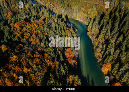 Alpino incontaminato turchese serpeggiante fiume attraverso la foresta paesaggio in una soleggiata giornata autunnale, vista aerea. Incontaminato, natura pulita, acqua pura, ambientale Foto Stock