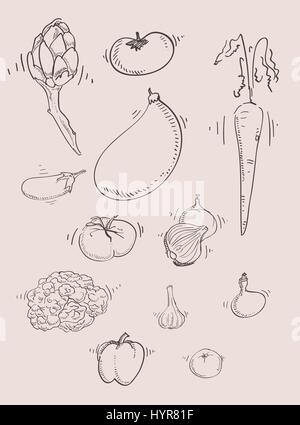 Vettore di stile libero del disegno a mano insieme vegetale Illustrazione Vettoriale