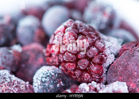 In prossimità di una selezione di frutti di bosco misti congelati, compresi i lamponi, in una vaschetta di colore bianco con uno sfondo sfocato. Foto Stock