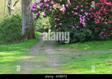 I giardini di un paese di lingua inglese estate in primavera. Foto Stock