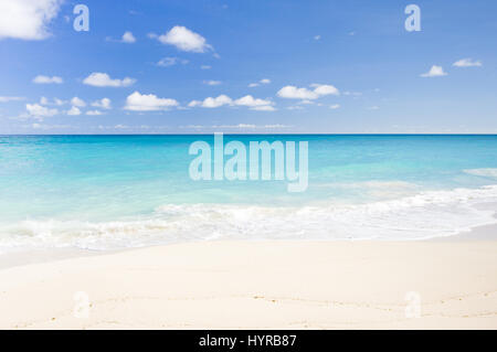 Fallo Bay, Barbados, dei Caraibi Foto Stock