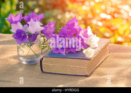 Vecchio libro malandato e fiori in giardino nella giornata di sole Foto Stock