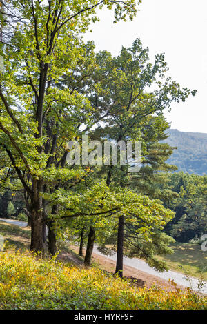 Strada pavimentata con ciottoli che conduce al castello di Schonborn, ex residenza dei Carpazi del conte Schonborn in Chynadiyovo, Ucraina. Foto Stock