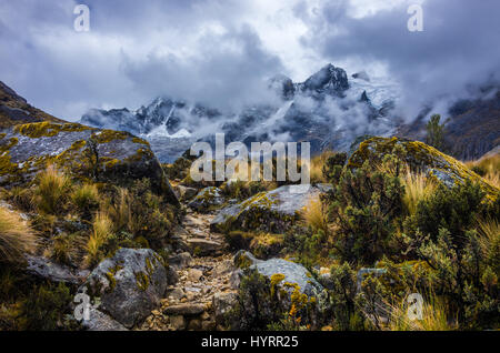 Sentiero delle Ande Foto Stock