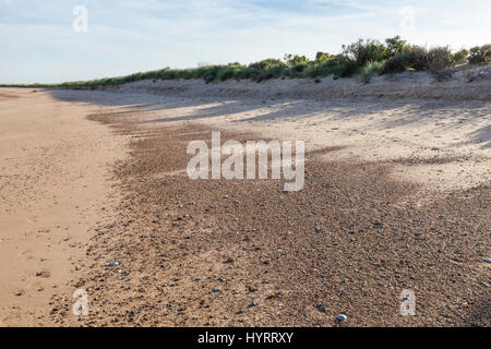 Luce della Sera che rientrano in tutta la spiaggia vuota a Gibraltar Point sulla costa del Lincolnshire, England, Regno Unito Foto Stock